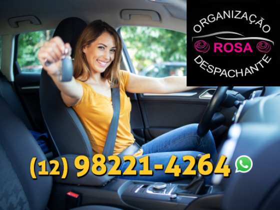 Organização Rosa Despachante